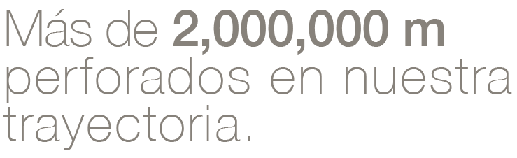 Descripción de la imagen